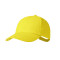 Cappellino Haliard