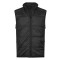 Gilet Hybrid-Stretch Bodywarmer