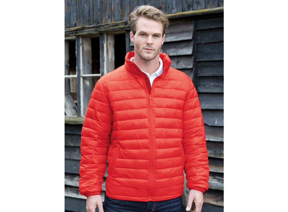 Mens Ice Bird Padded Jacket